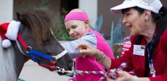 Child petting a Miniature Horse
