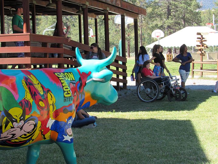 One of Our Cows at Camp